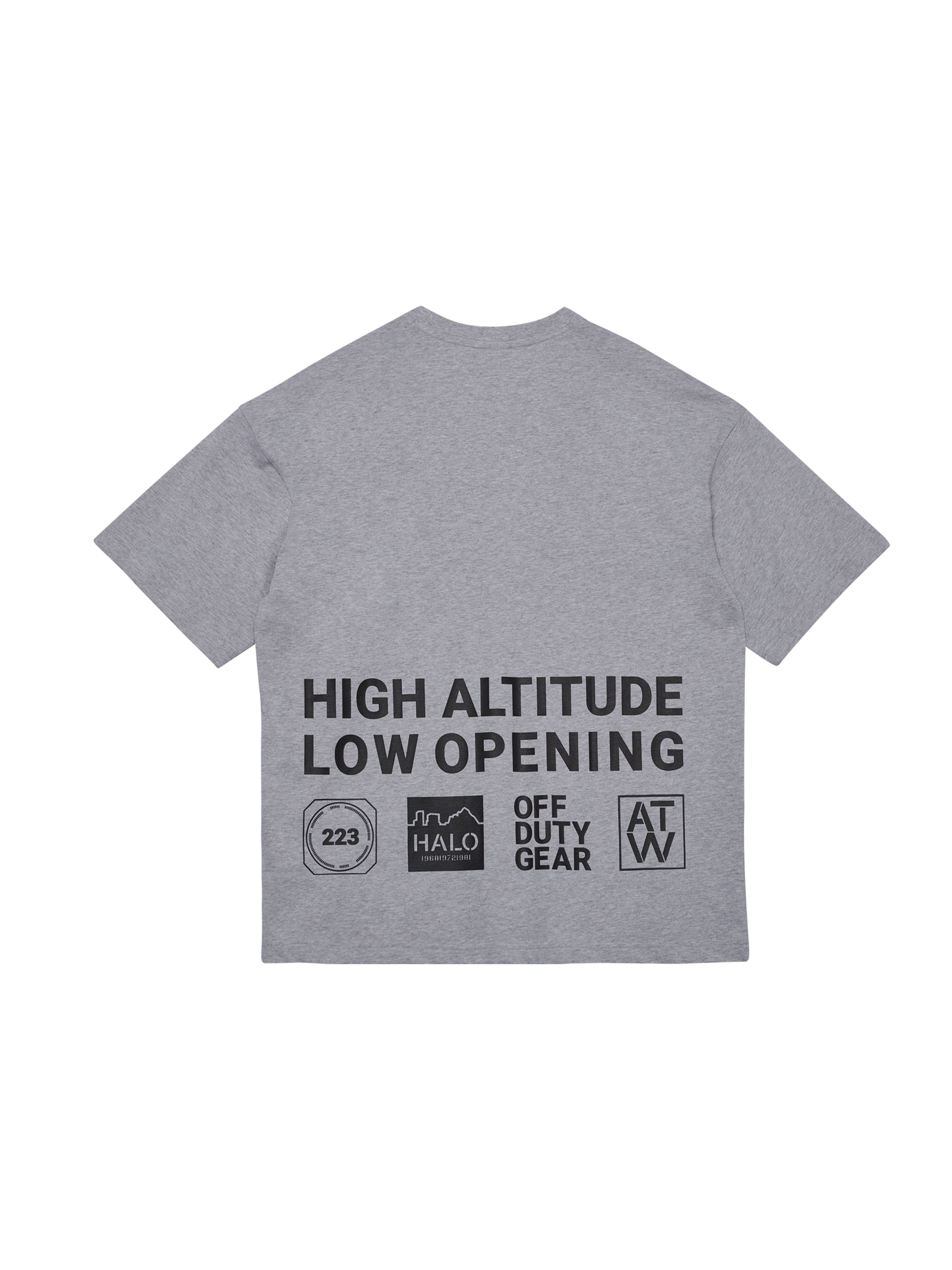 HALO - Graphic boxy t-shirt Light grey melange