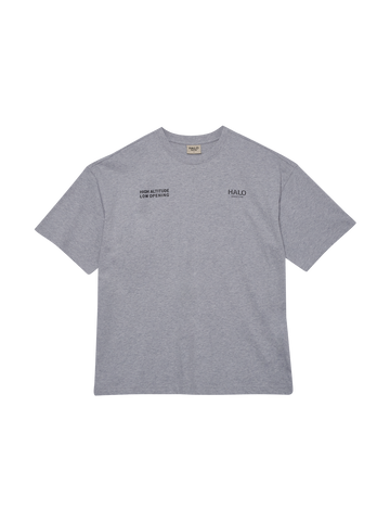 HALO - Graphic boxy t-shirt Light grey melange